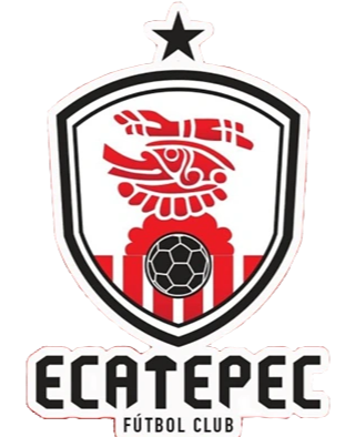 https://img.yingdejx.com/img/football/team/f8fefa1062b7f72982263757680421c0.png